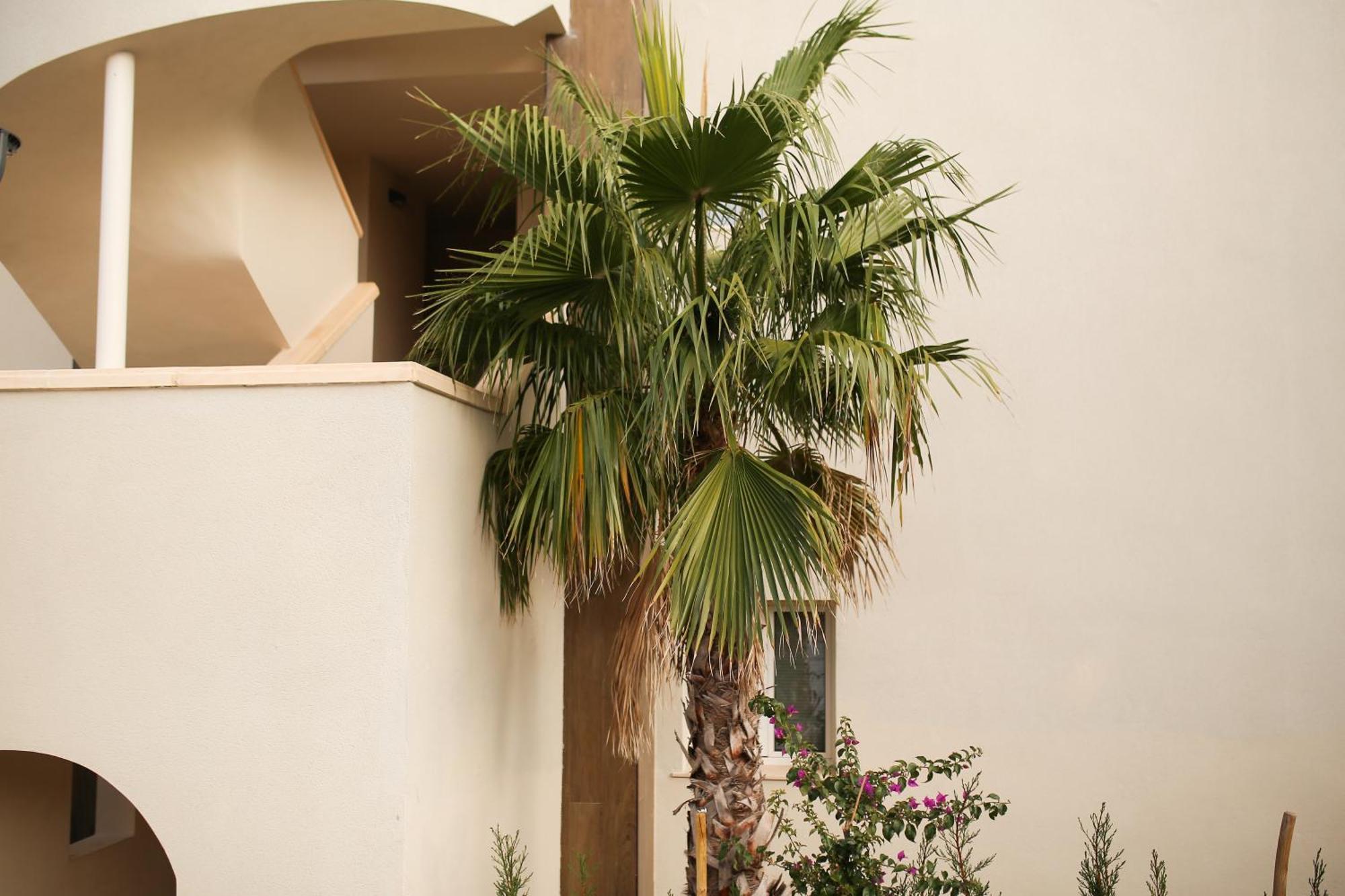 Modern Flat With Montgo View Διαμέρισμα Denia Εξωτερικό φωτογραφία